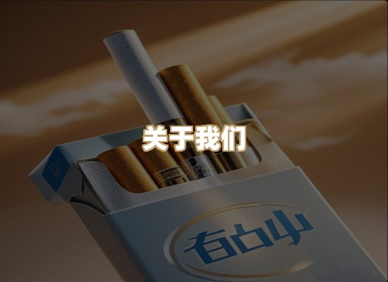 关于云歌烟网